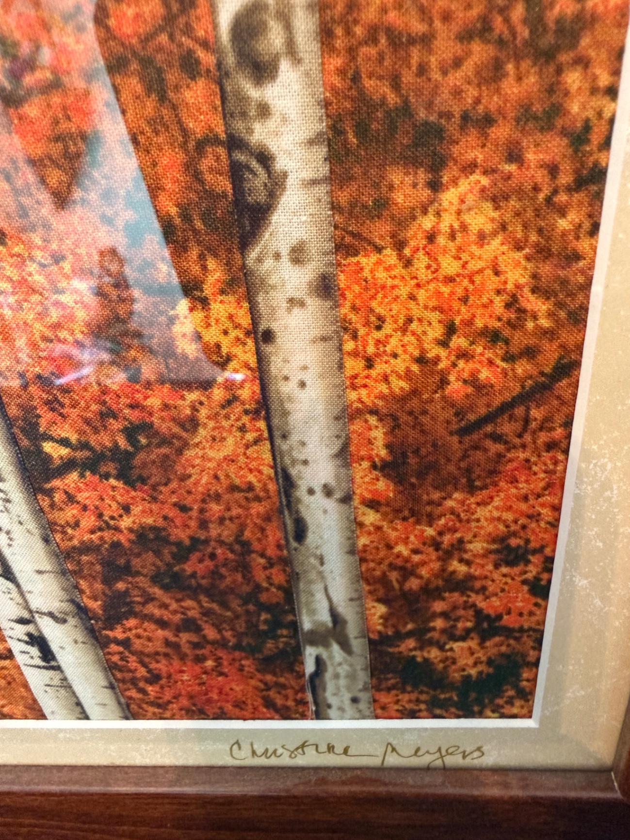 Autumn Aspen Trees Framed Artwork - image 3 of 3