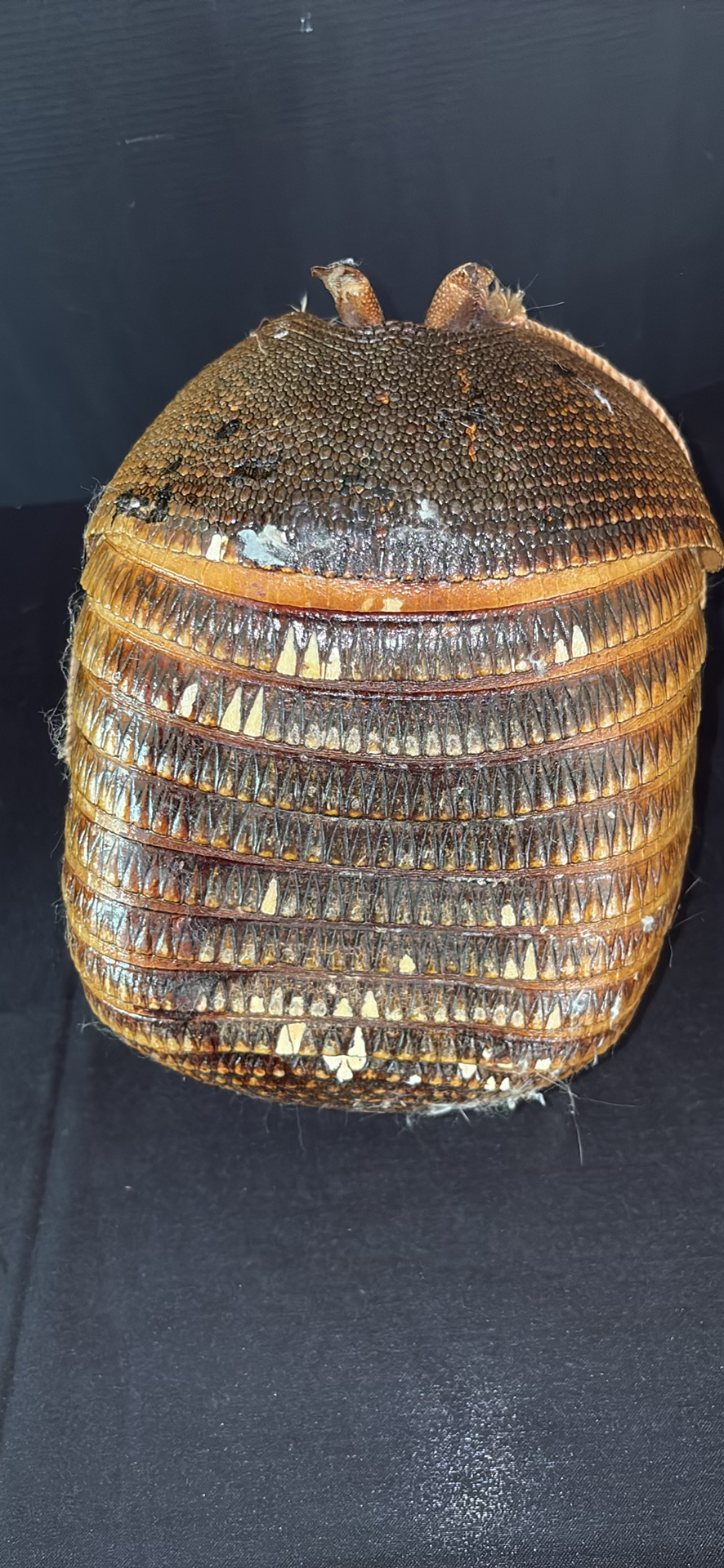 Assorted household items: lanterns, bird feeder, glassware jars, framed art, scale and hardware - image 11 of 16
