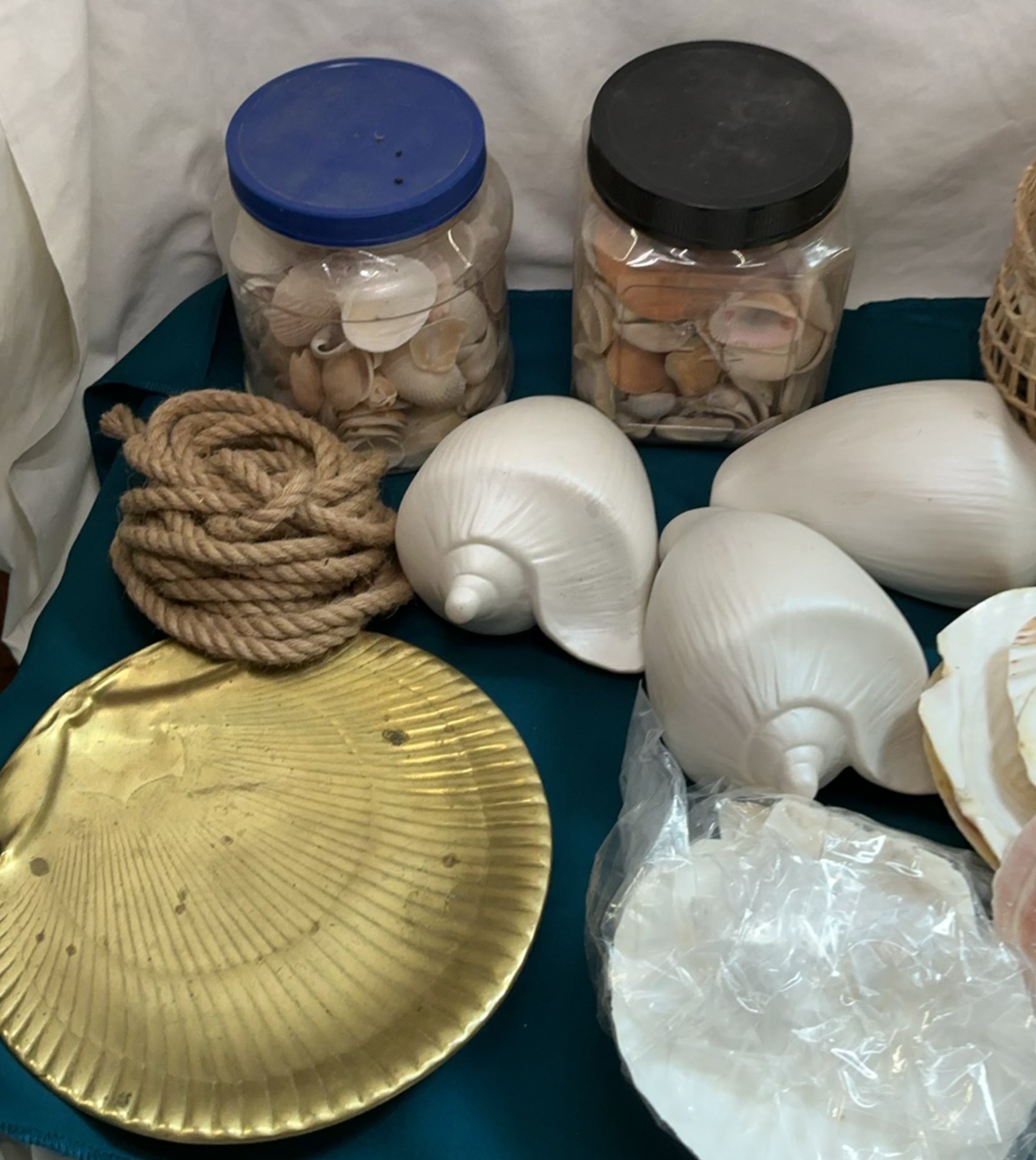 Get Jiggy With Shells - image 2 of 5