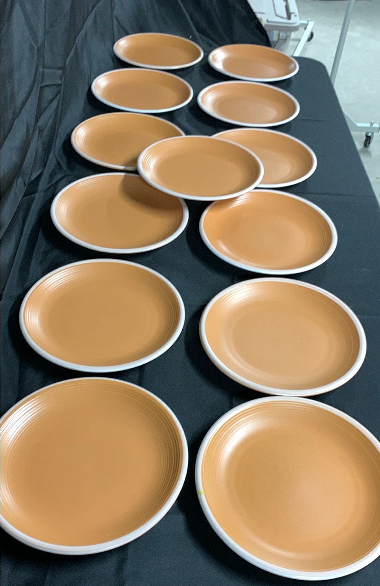 Rio Century Stoneware Plates - image 1 of 5