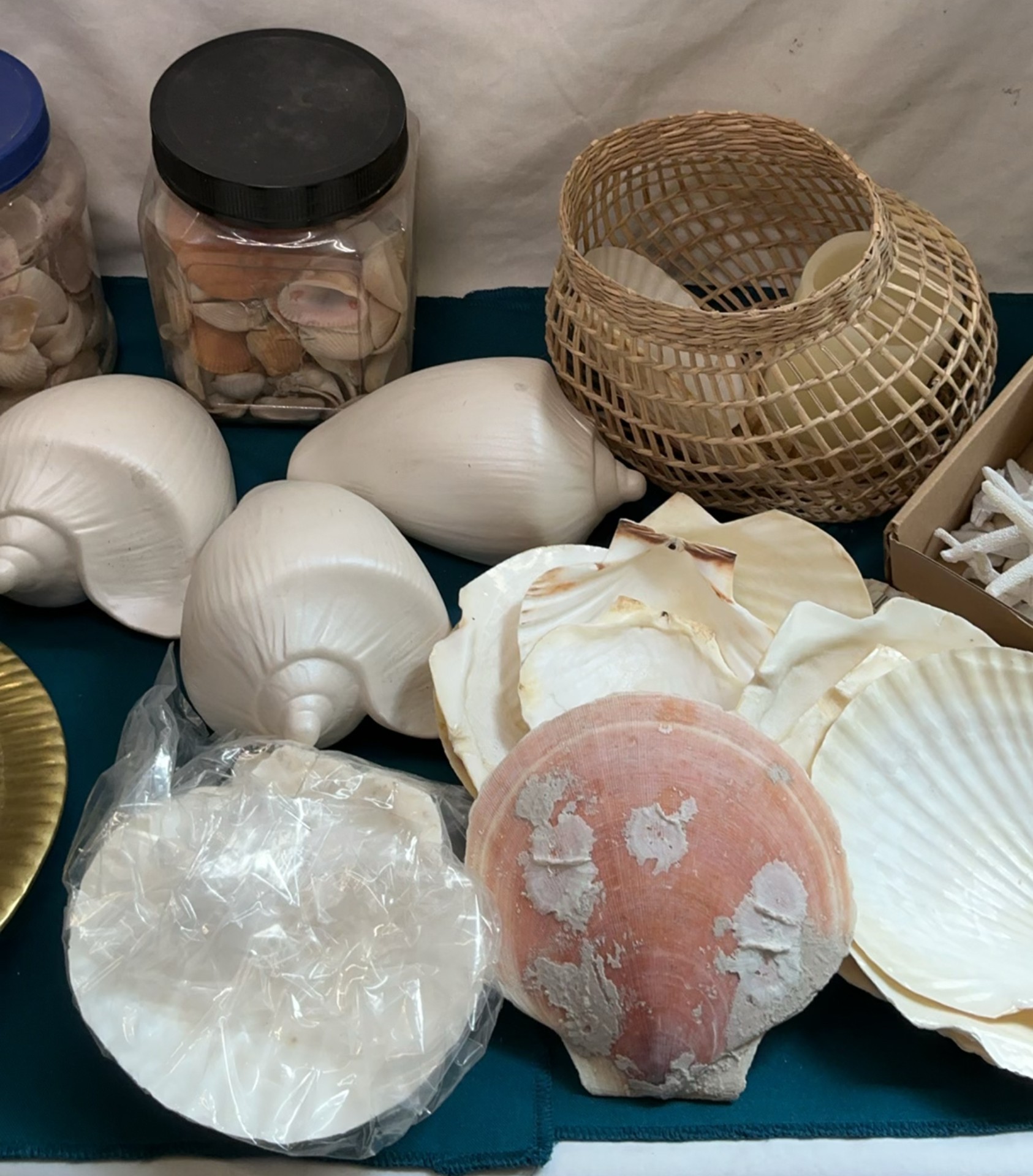 Get Jiggy With Shells - image 3 of 5