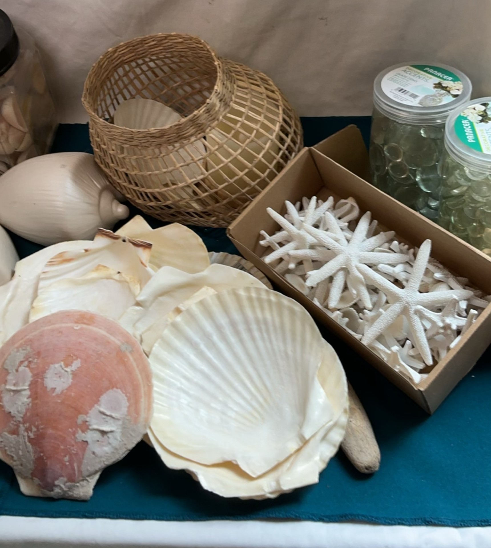 Get Jiggy With Shells - image 4 of 5
