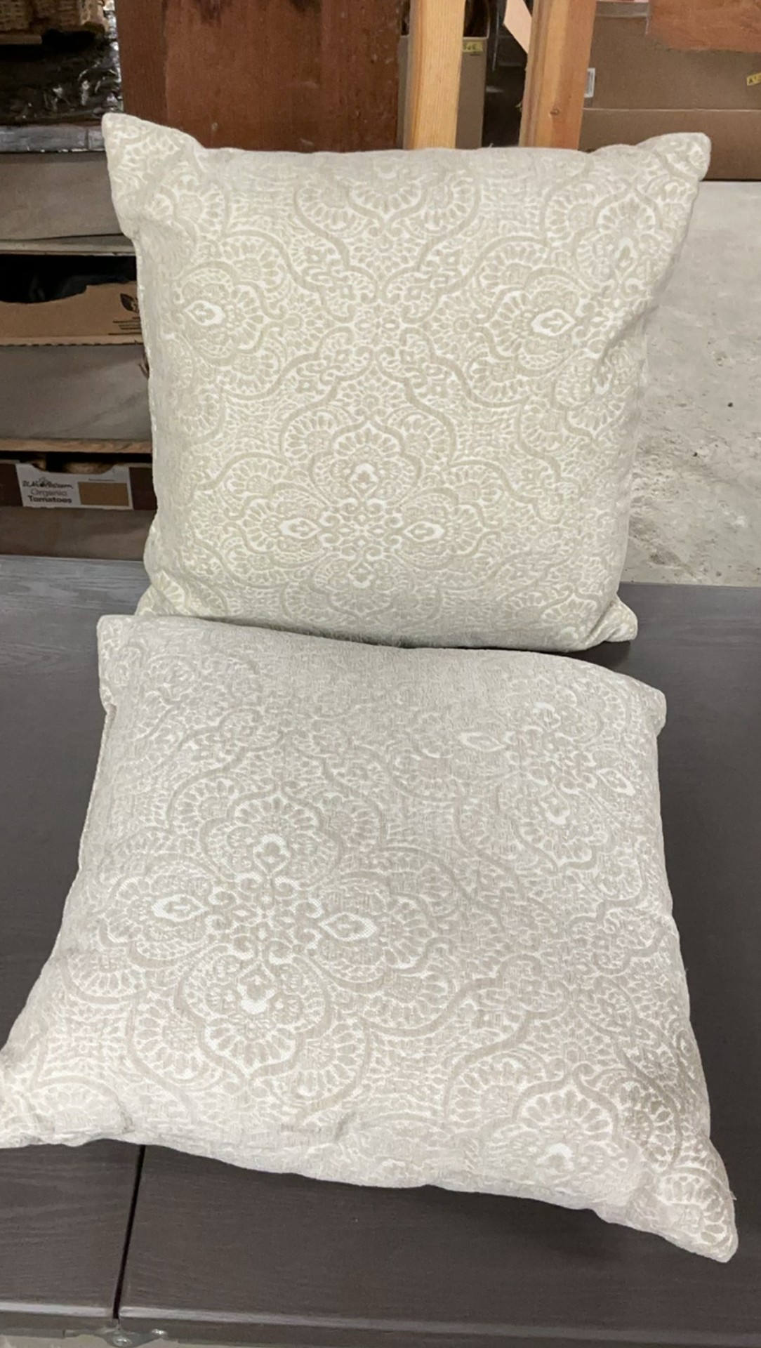Champagne Throw Pillows - image 4 of 5