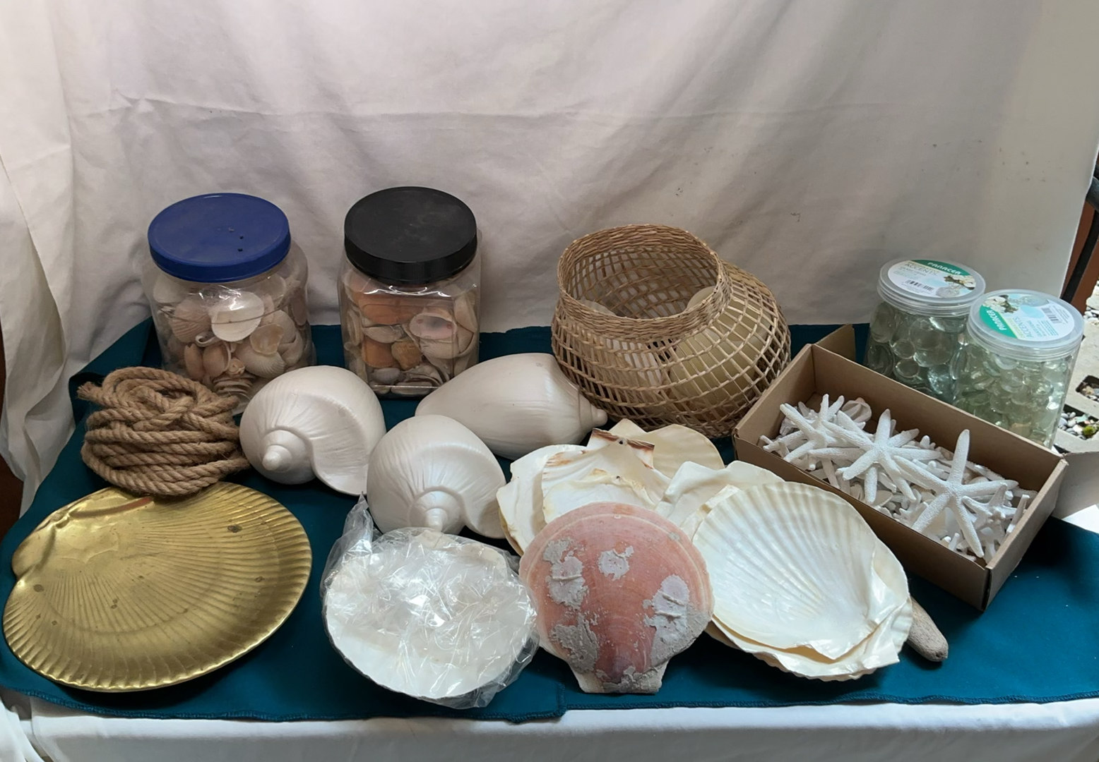 Get Jiggy With Shells - image 1 of 5