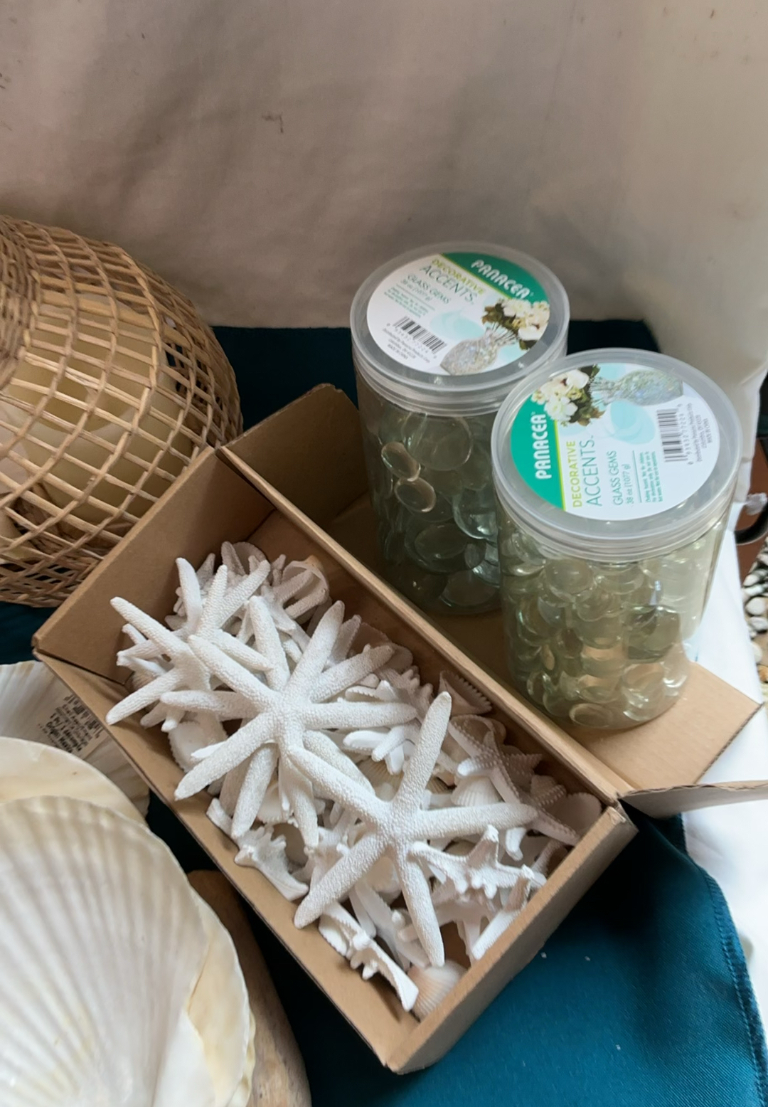 Get Jiggy With Shells - image 5 of 5