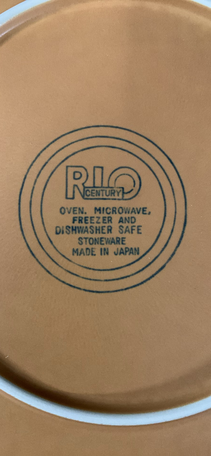 Rio Century Stoneware Plates - image 3 of 5