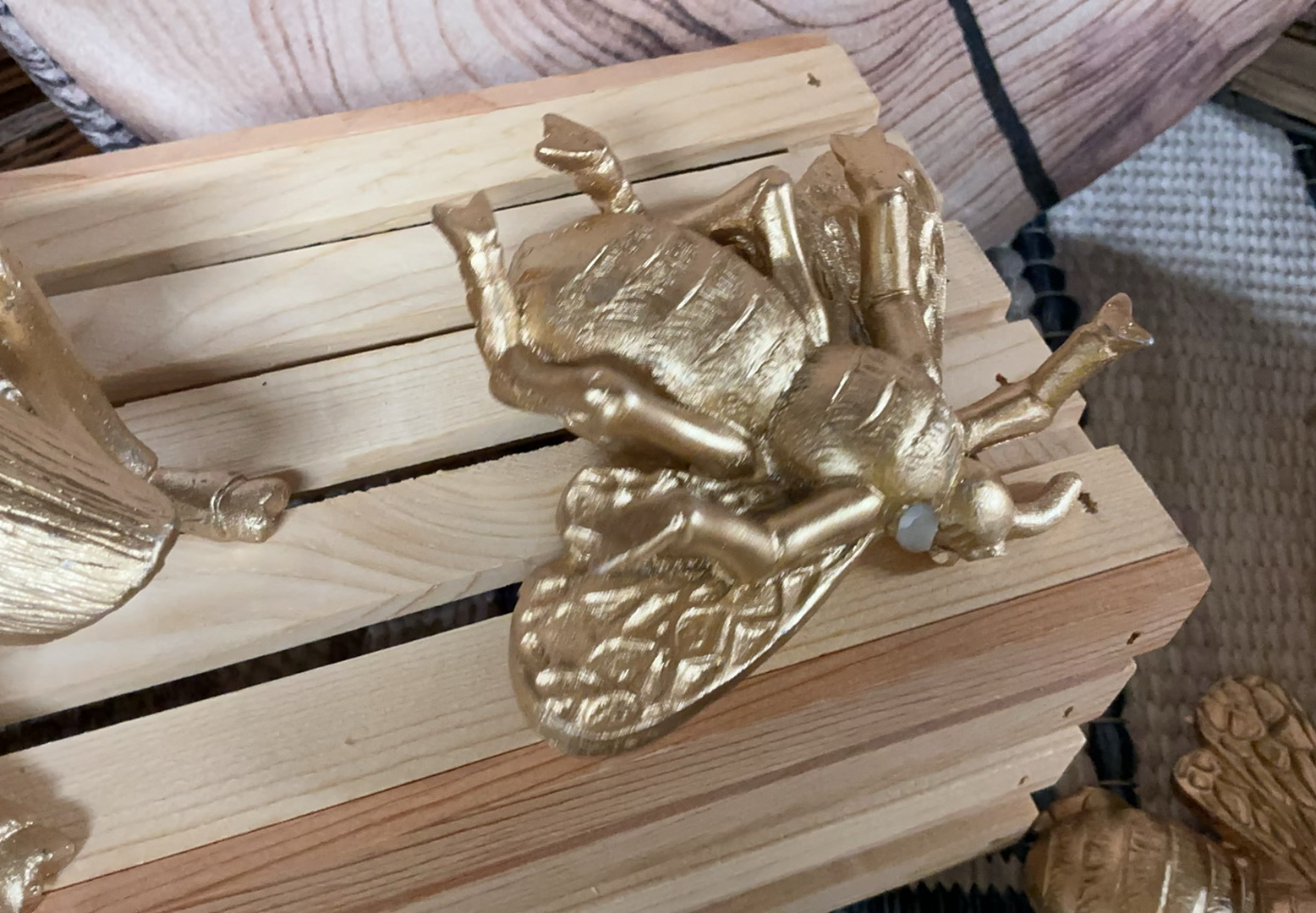 6 Round cushions that look like center cut wood, Golden Bugs, Small Rugs - image 6 of 10