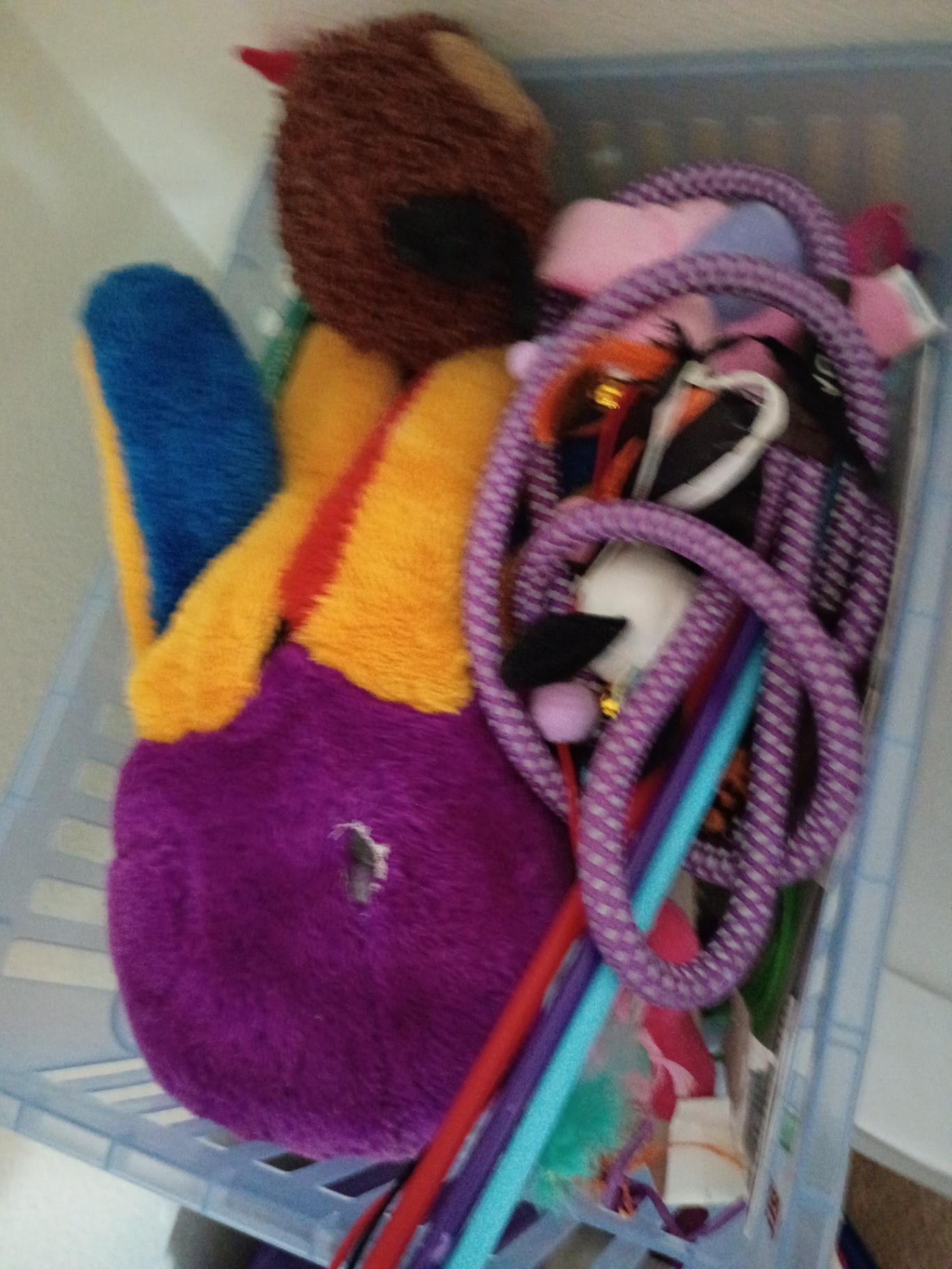 Assorted Household and Pet Supplies in Storage Drawers - image 8 of 10