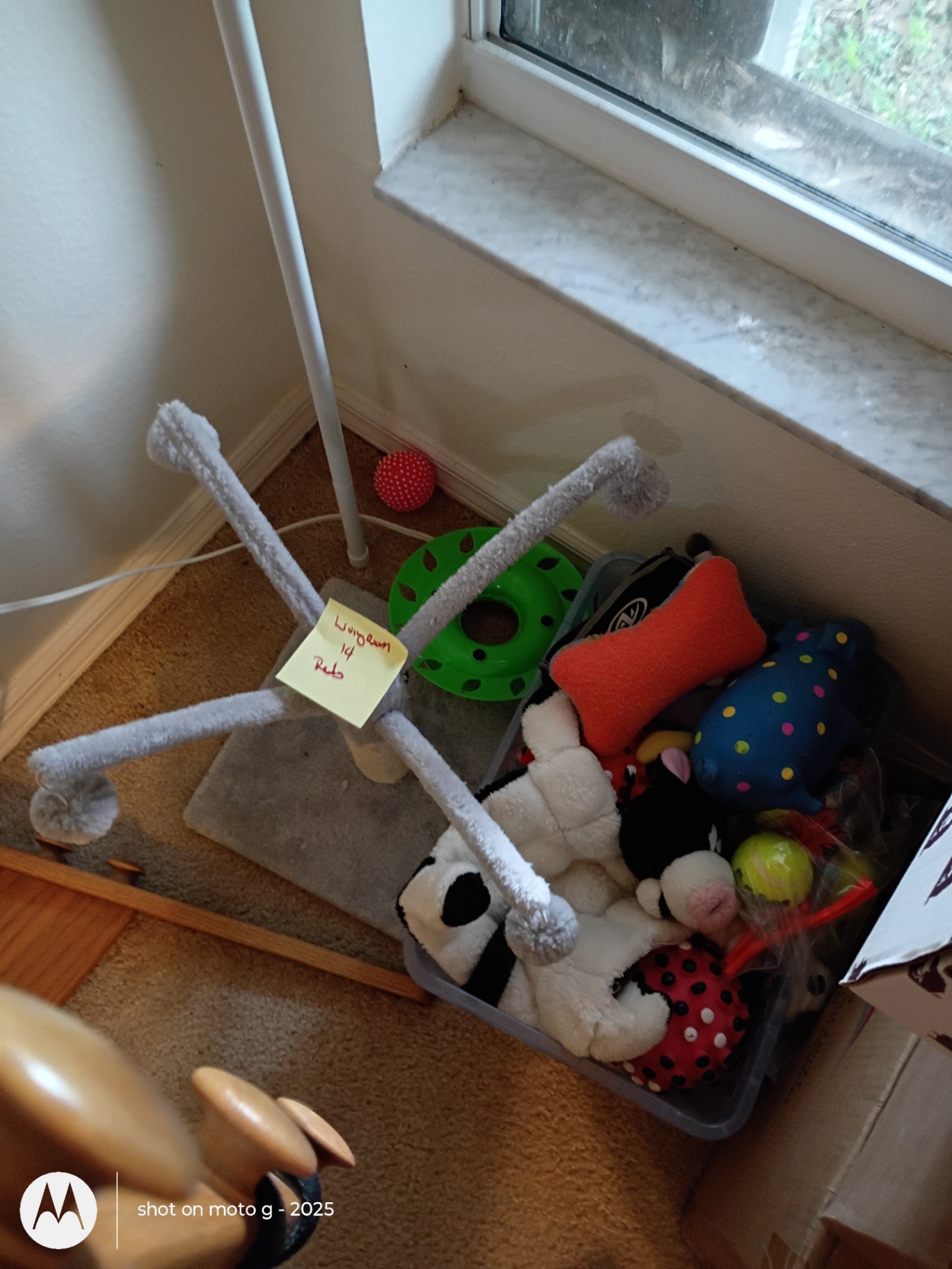 Cat Toys and Scratching Post Set - image 1 of 4
