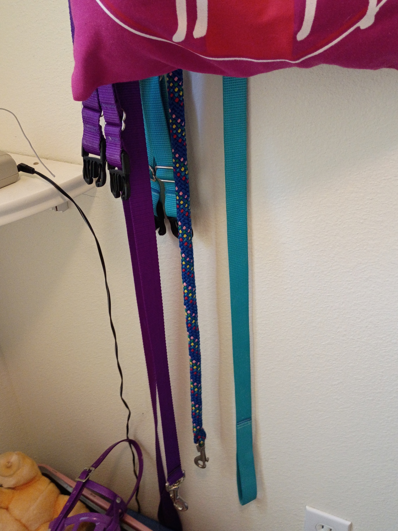 Pet Supplies Assortment - image 5 of 7