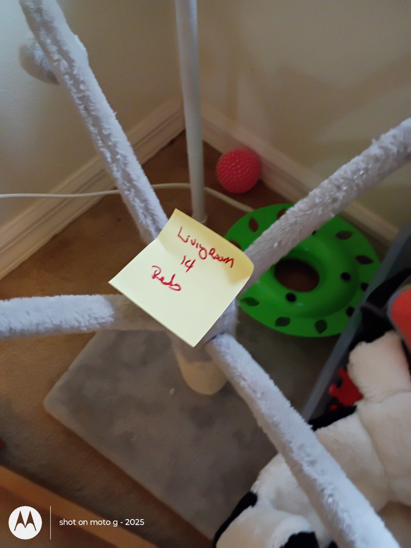 Cat Toys and Scratching Post Set - image 4 of 4