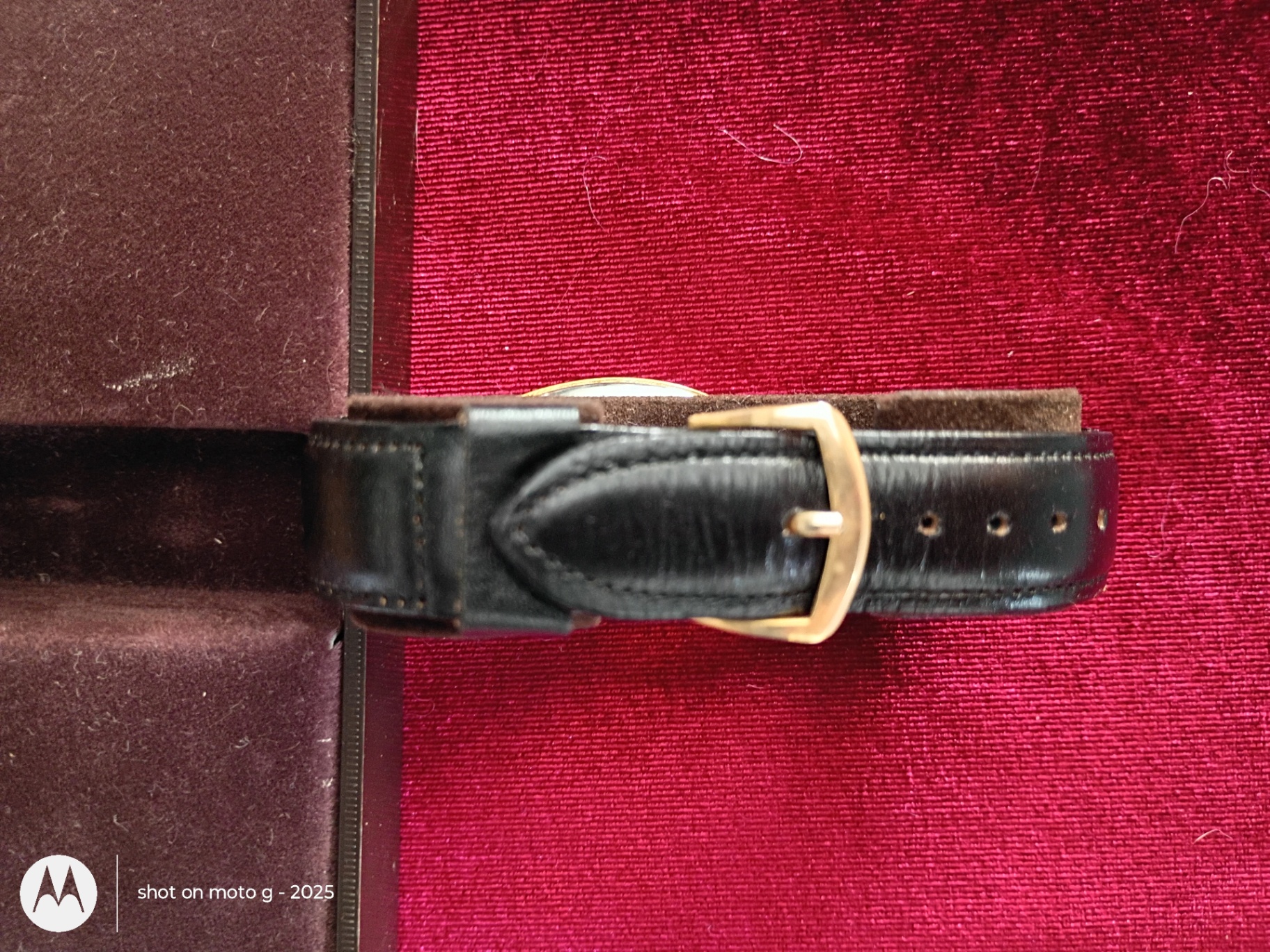 Cornavin Wristwatch with Presentation Box and Manual - image 5 of 10