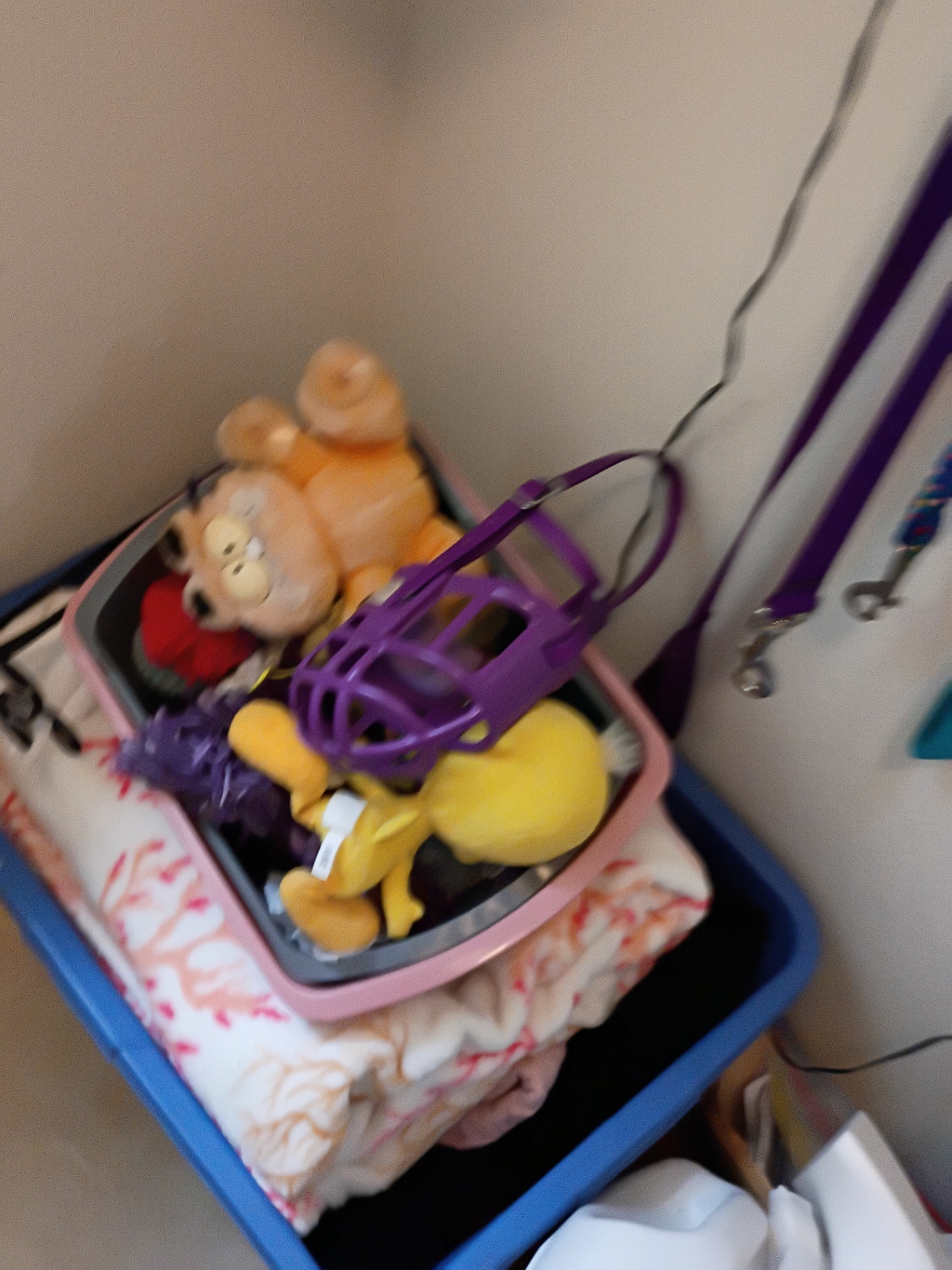 Pet Supplies Assortment - image 6 of 7