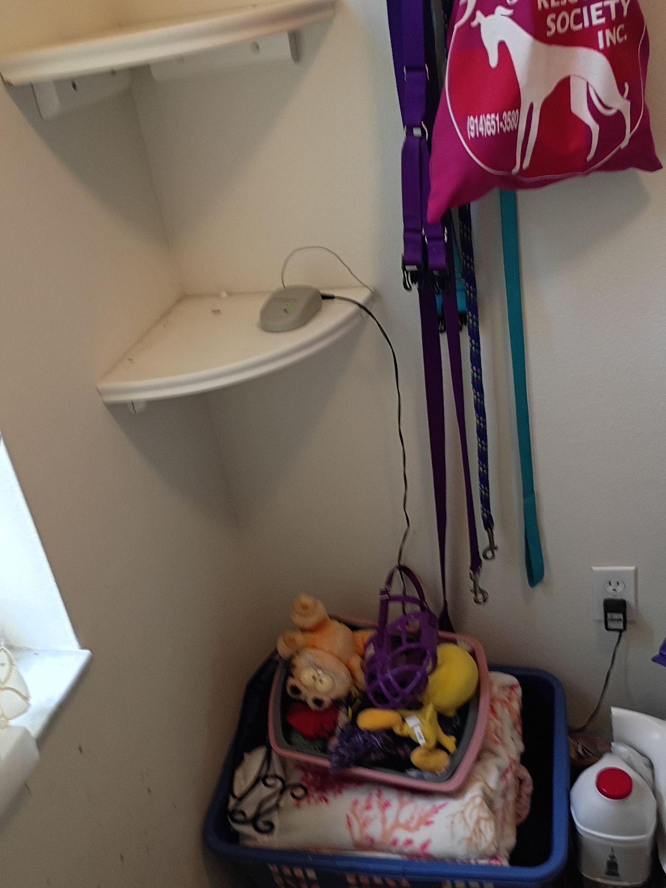 Pet Supplies Assortment - image 1 of 7