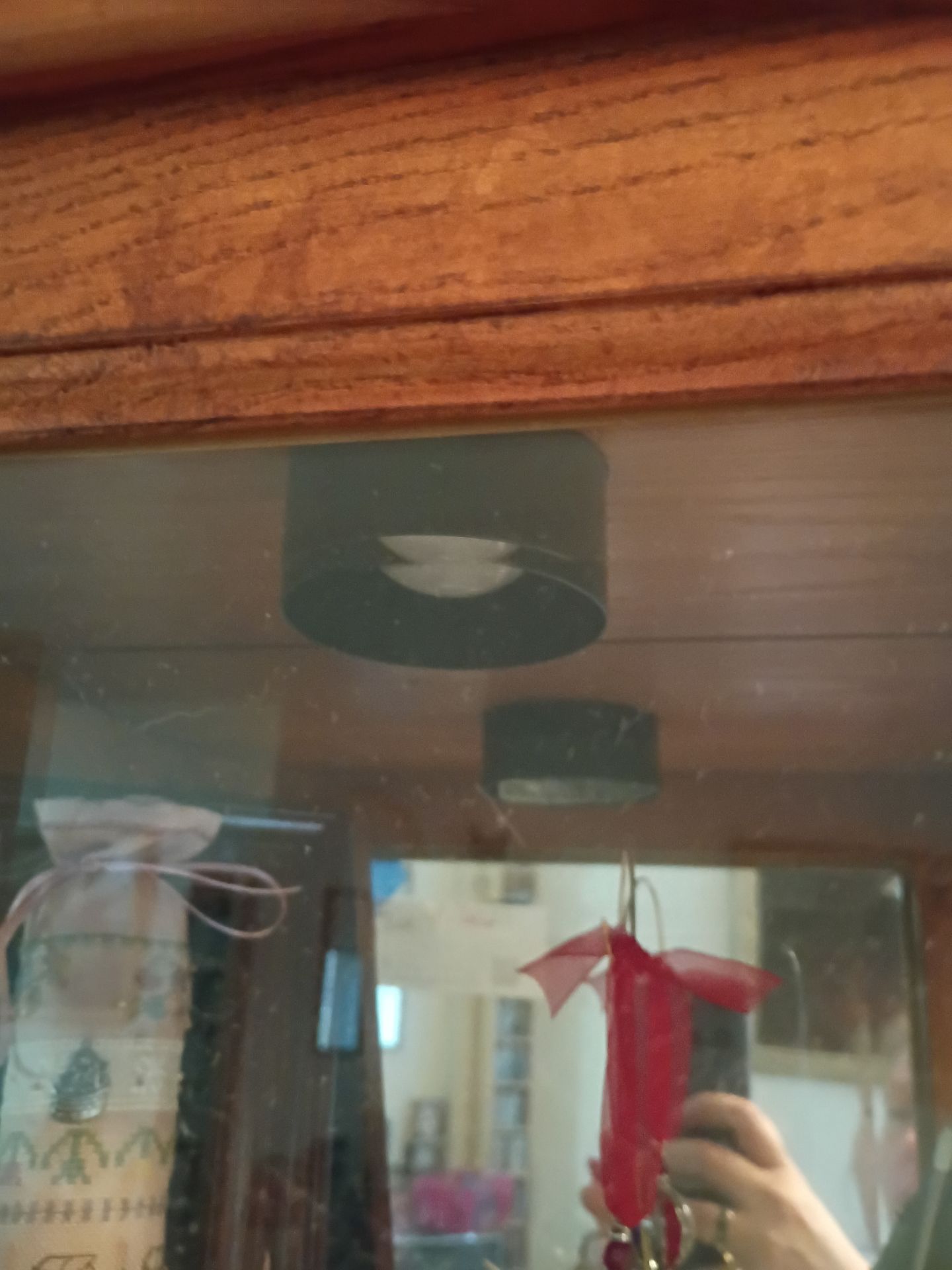 Tall Wood and Glass Curio Display Cabinet - image 5 of 6