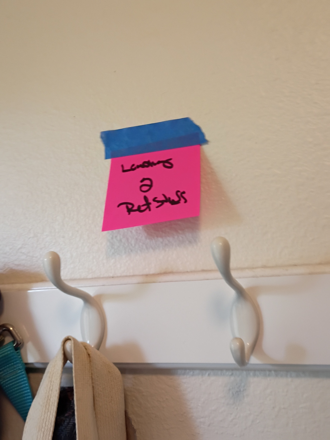 Pet Supplies Assortment - image 2 of 7