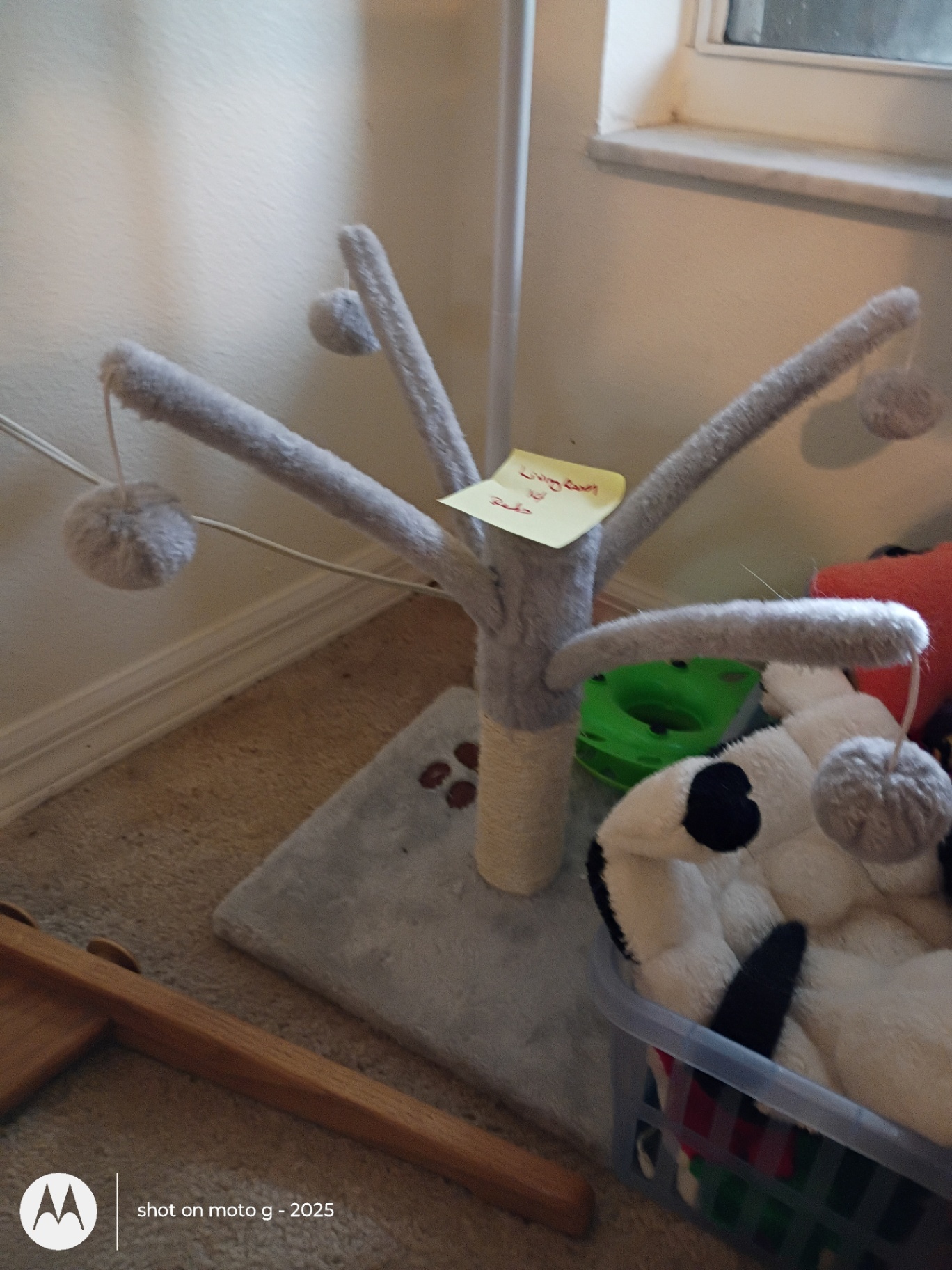 Cat Toys and Scratching Post Set - image 2 of 4