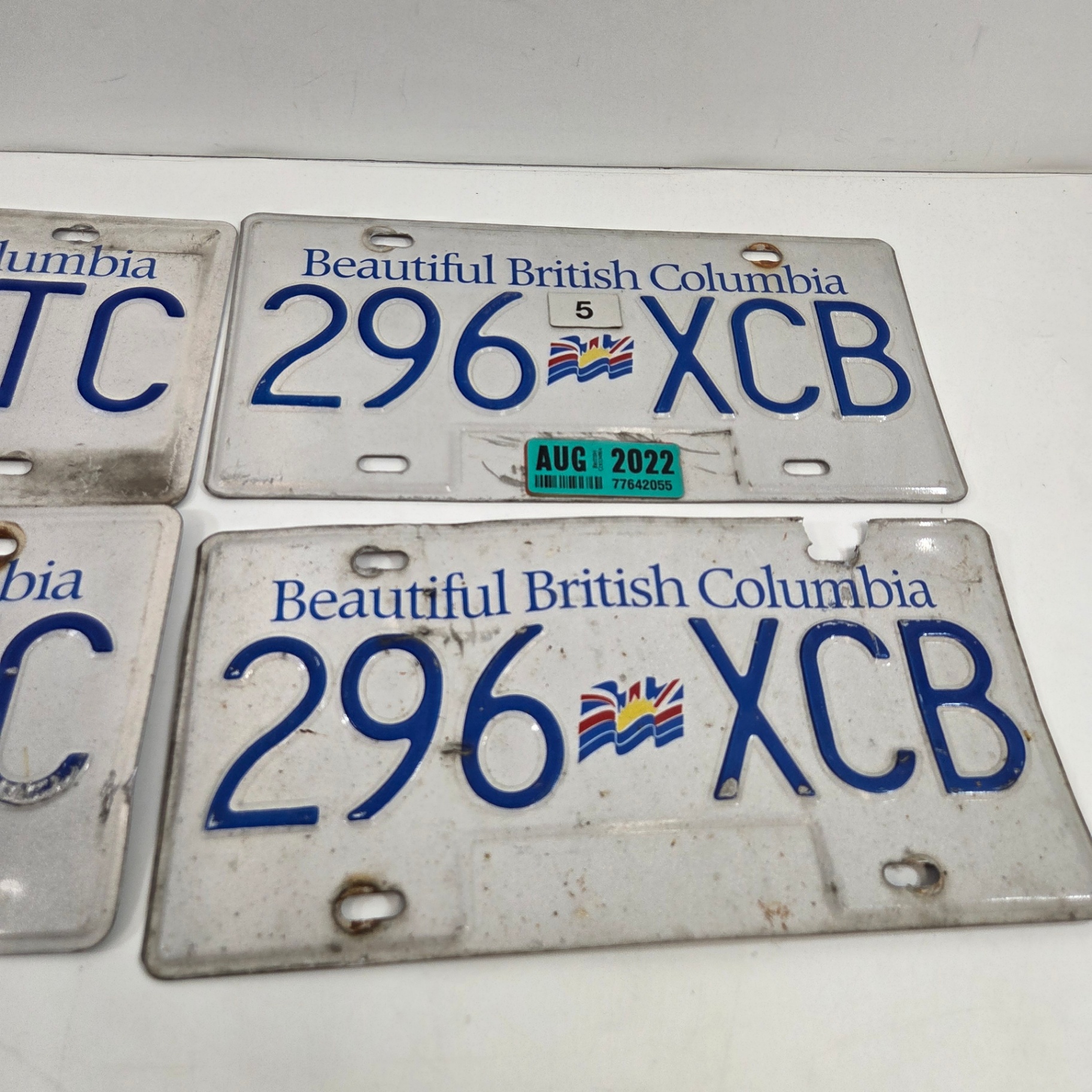 BC License Plate Pairs - image 2 of 2