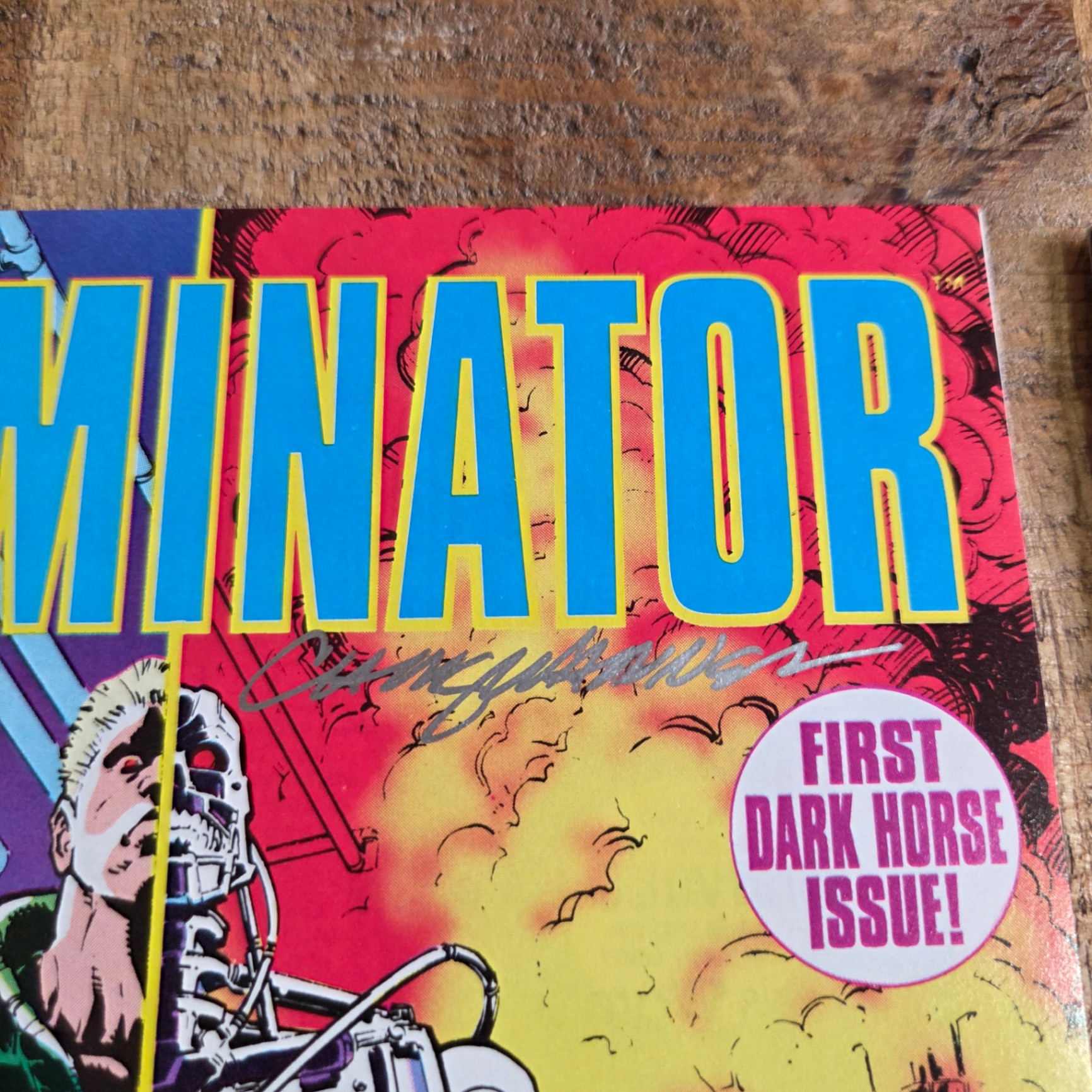 Terminator Comics - image 2 of 3