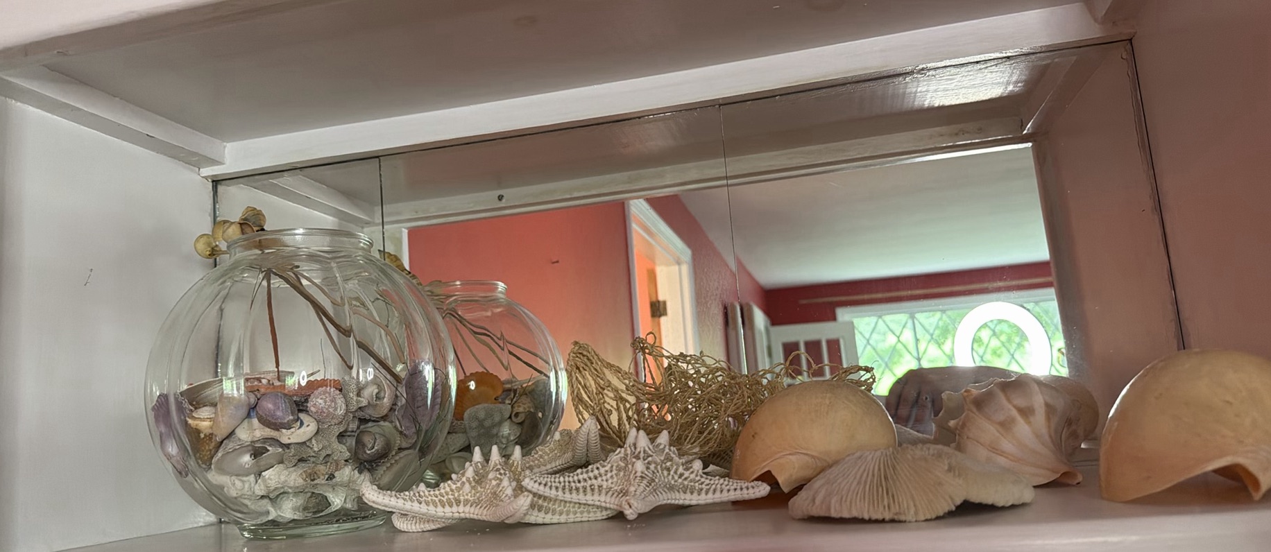 Seashells, Starfish, and Glass Bowl Display - image 1 of 3