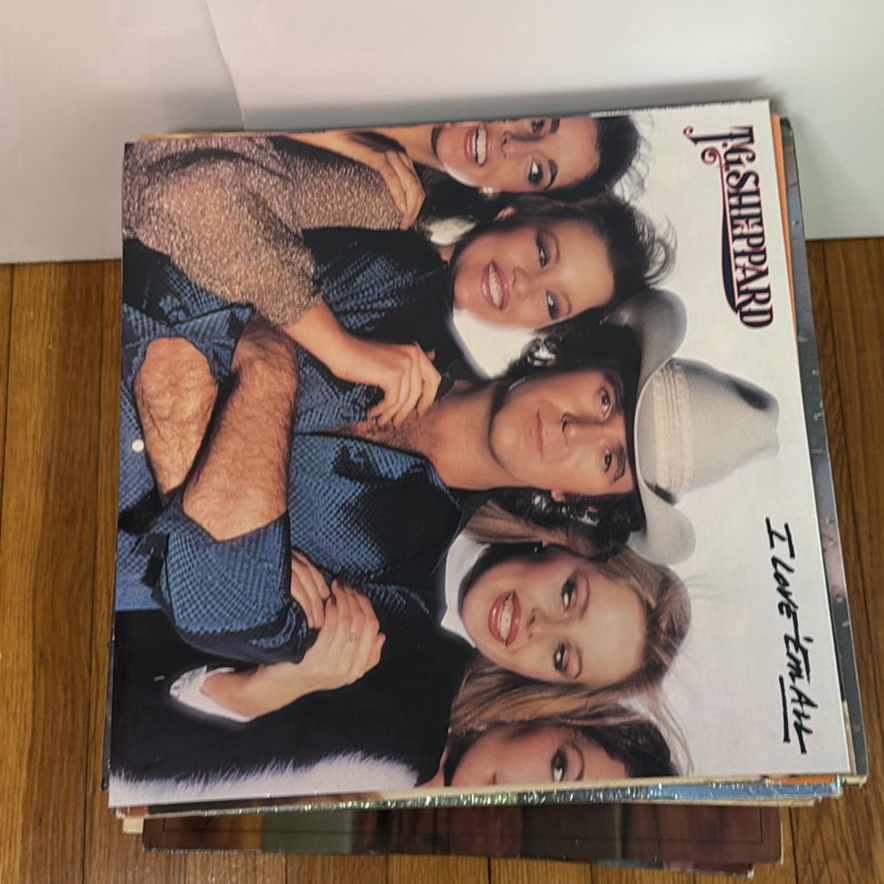 Lot of Vintage Vinyl Records - image 2 of 4