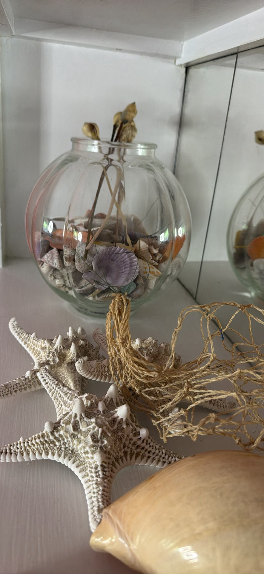 Seashells, Starfish, and Glass Bowl Display - image 3 of 3