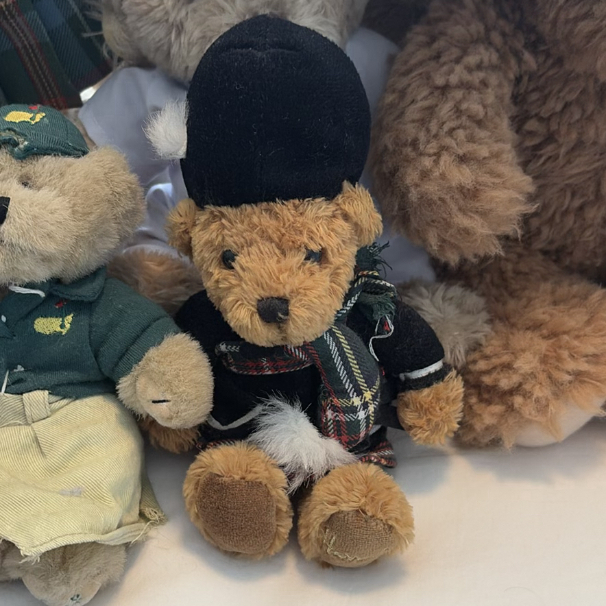 Collection of Vintage & Contemporary Teddy Bears - image 6 of 16