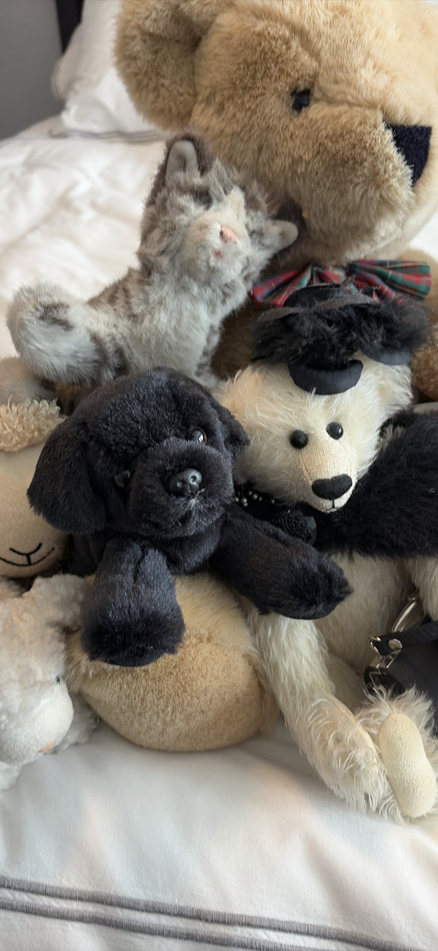 Assorted Plush Stuffed Animals - image 6 of 14