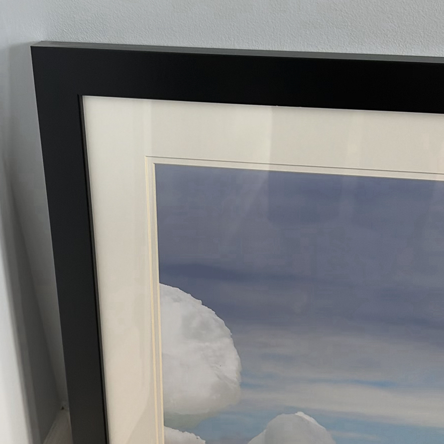 Framed Penguin Print - image 6 of 10