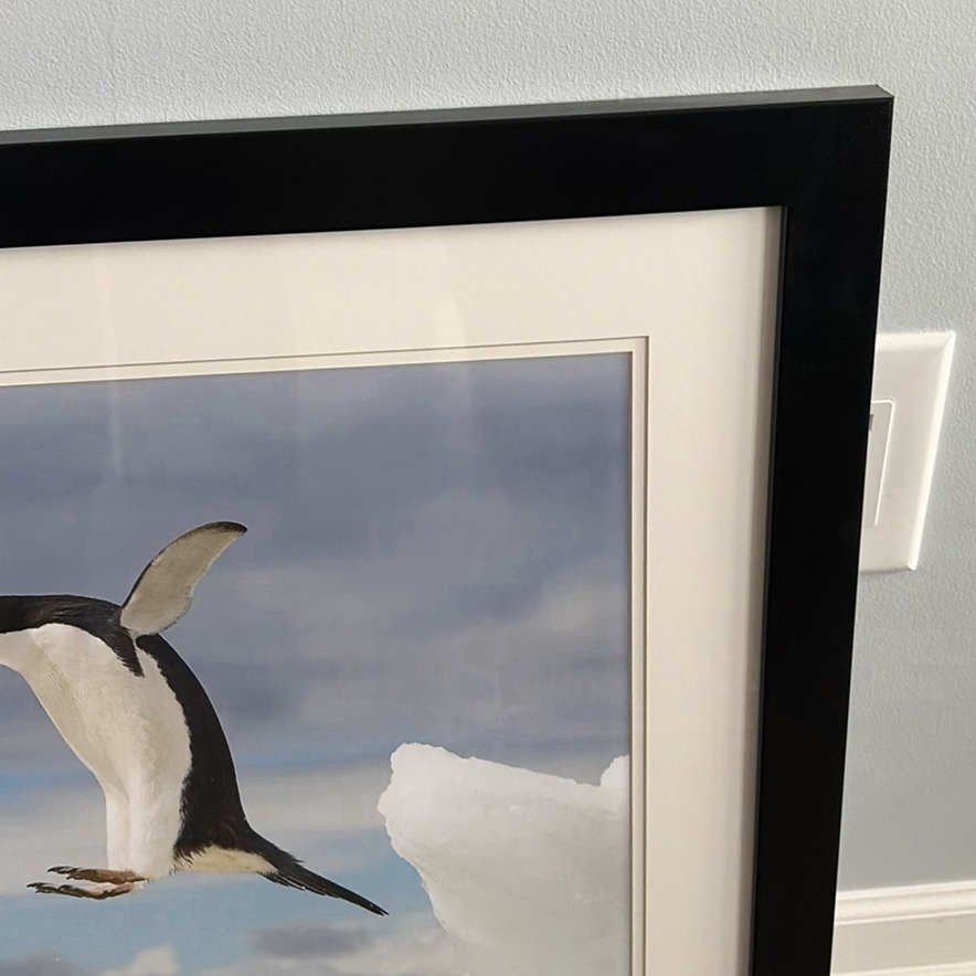 Framed Penguin Print - image 3 of 10