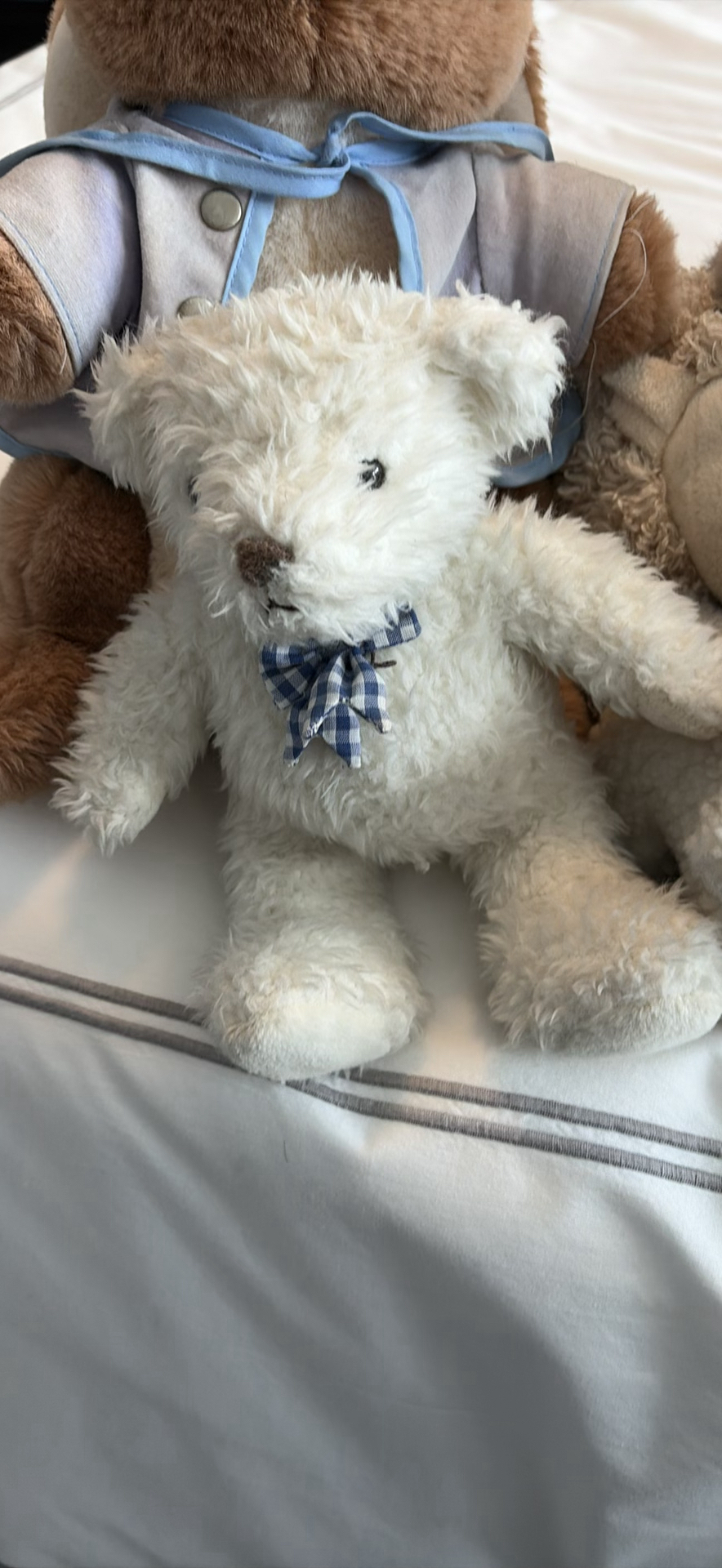 Assorted Plush Stuffed Animals - image 4 of 14