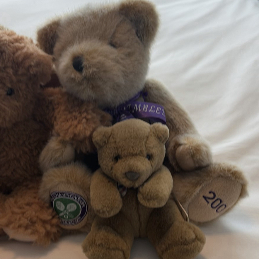 Collection of Vintage & Contemporary Teddy Bears - image 9 of 16