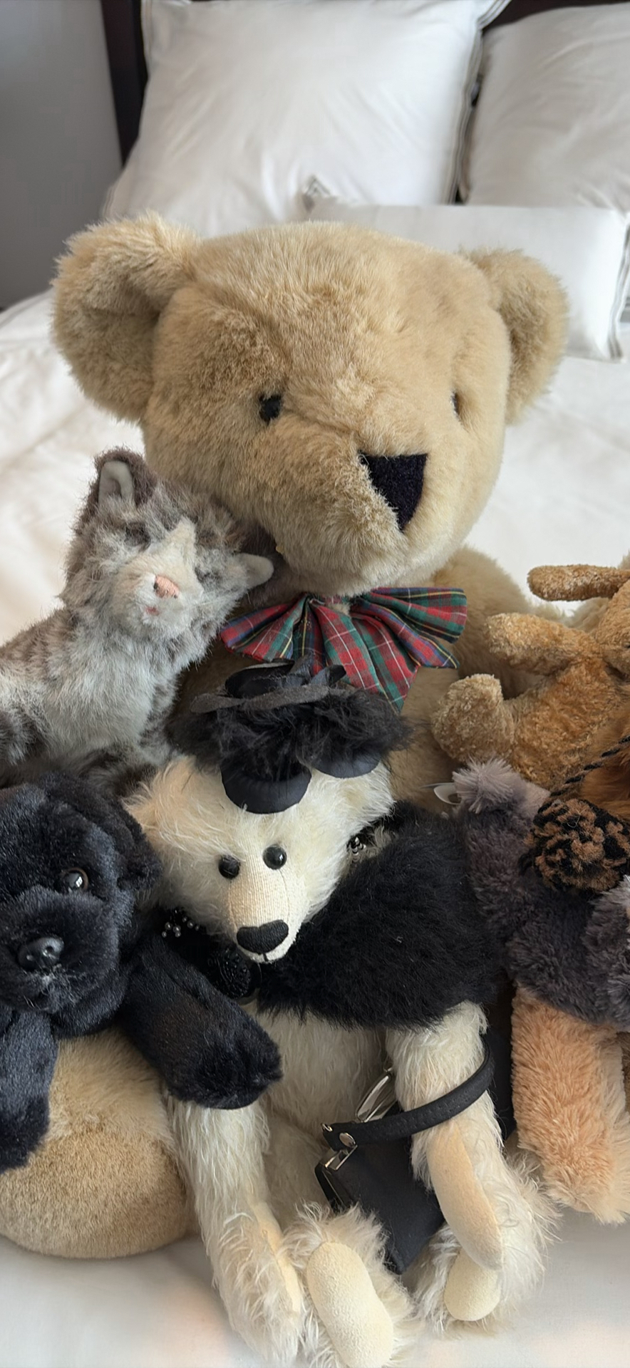 Assorted Plush Stuffed Animals - image 7 of 14