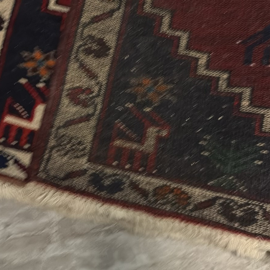 Iranian Area Rug with Geometric and Animal Motifs - image 10 of 11