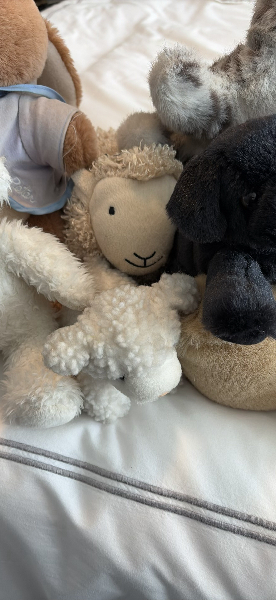 Assorted Plush Stuffed Animals - image 5 of 14
