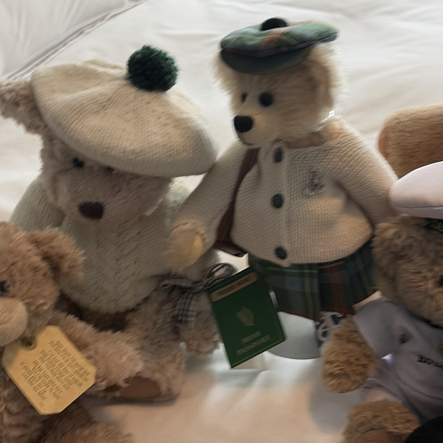 Collection of Vintage & Contemporary Teddy Bears - image 15 of 16