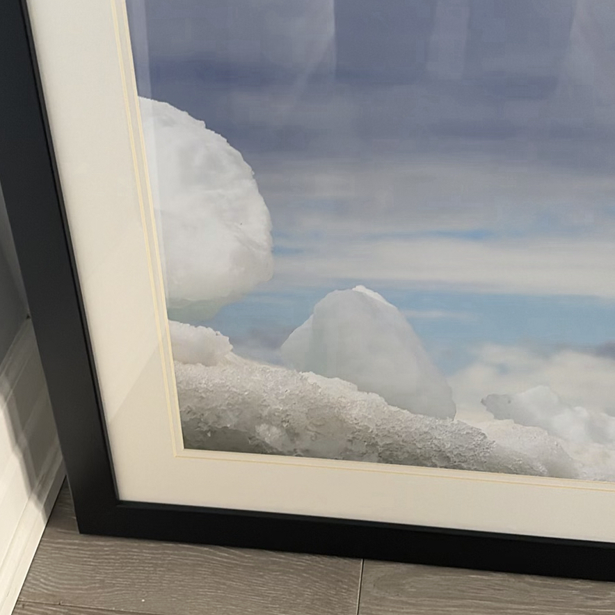 Framed Penguin Print - image 5 of 10