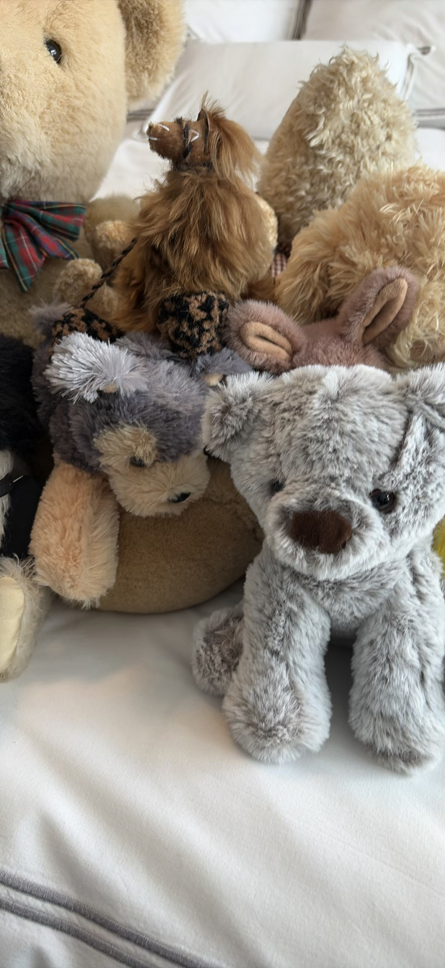 Assorted Plush Stuffed Animals - image 8 of 14