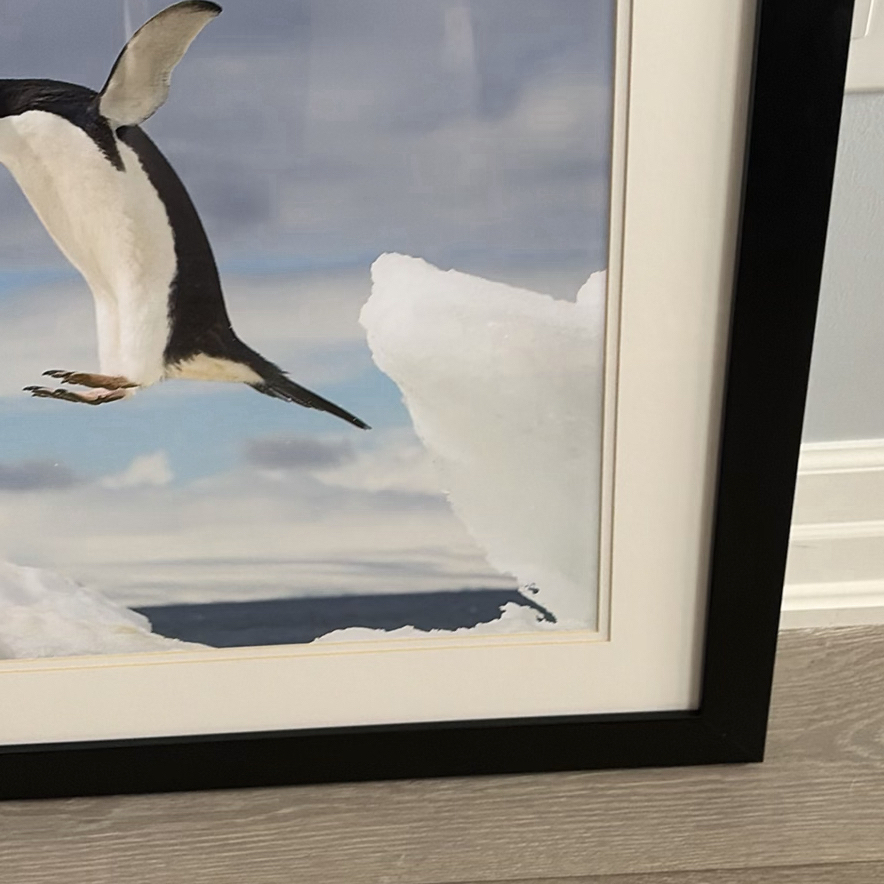 Framed Penguin Print - image 4 of 10