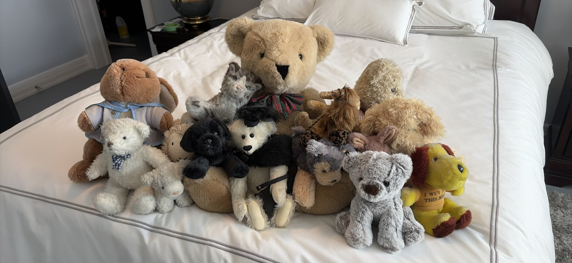 Assorted Plush Stuffed Animals - image 1 of 14