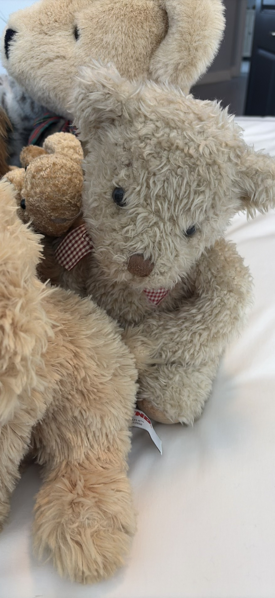 Assorted Plush Stuffed Animals - image 14 of 14