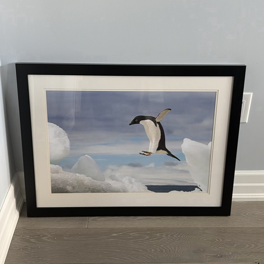 Framed Penguin Print - image 1 of 10