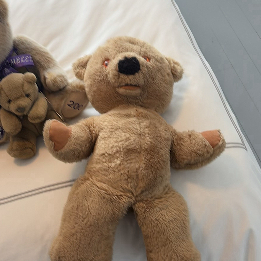 Collection of Vintage & Contemporary Teddy Bears - image 12 of 16