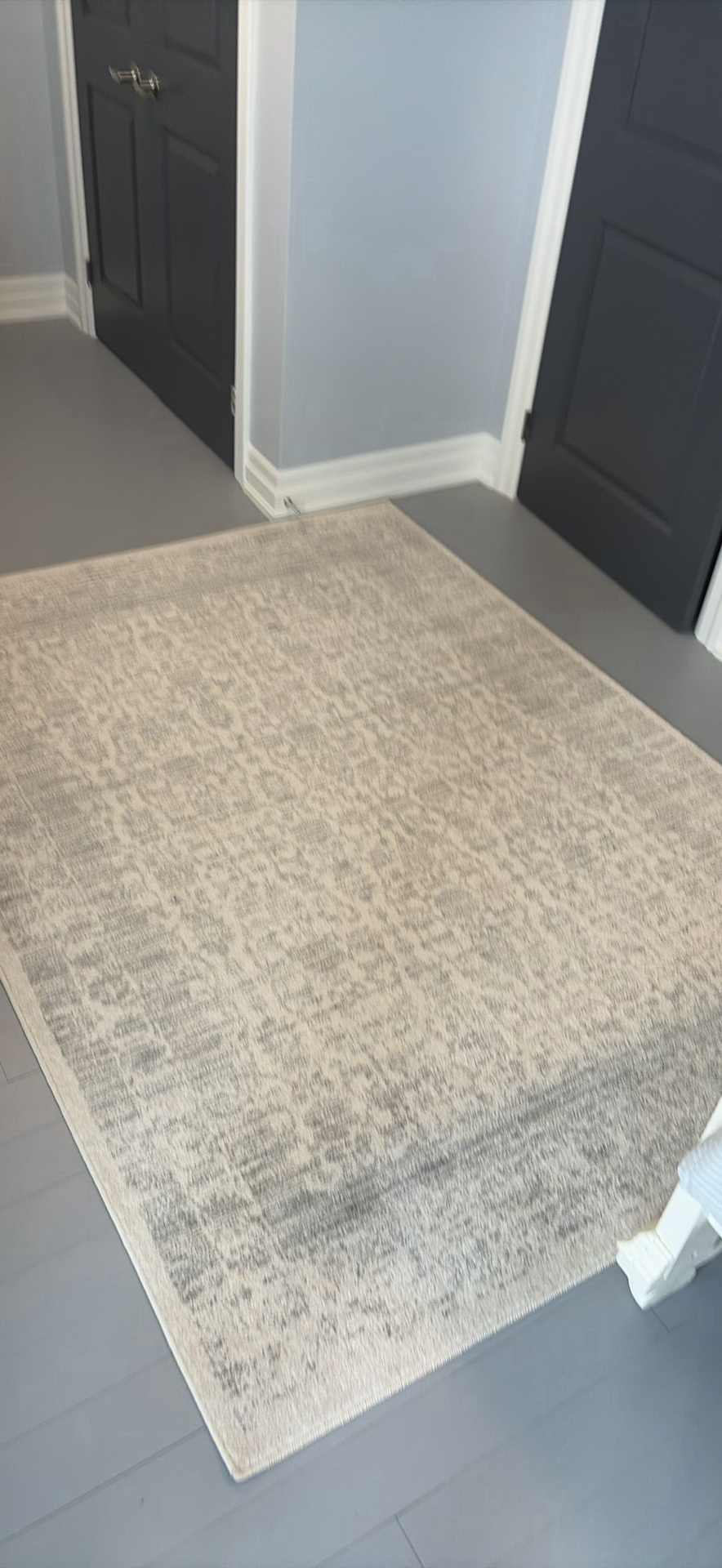 Gray and Cream Patterned Area Rug from ECARPET GALLERY - image 1 of 9