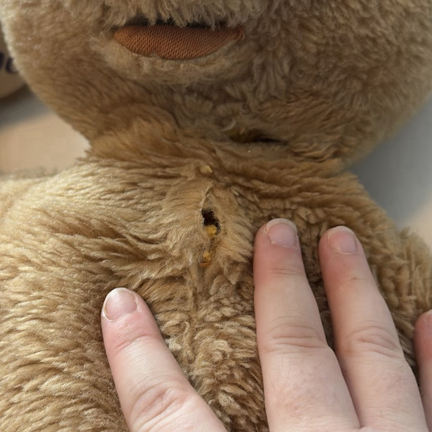 Collection of Vintage & Contemporary Teddy Bears - image 13 of 16
