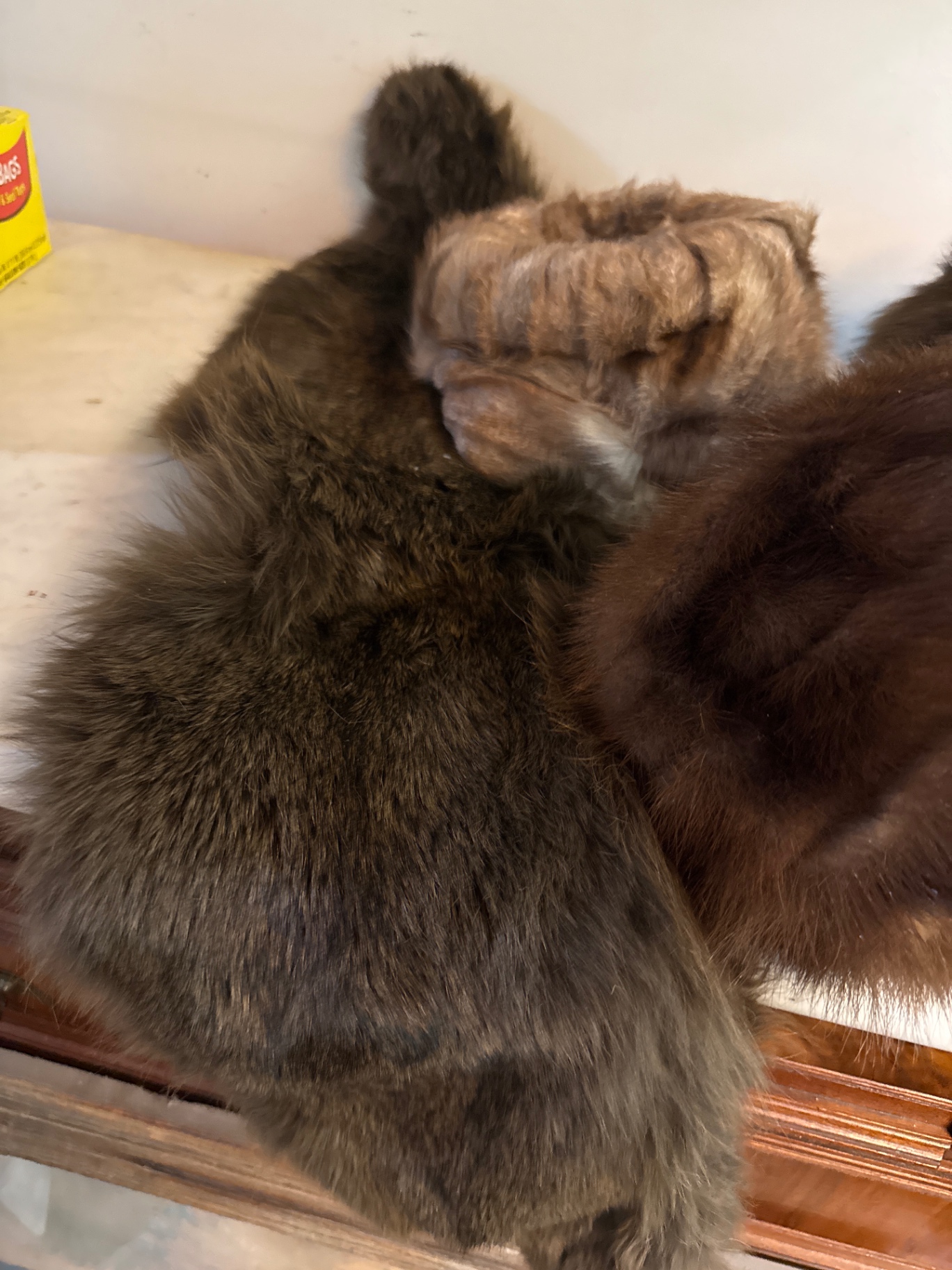 Assorted fur hats and stoles - image 2 of 4