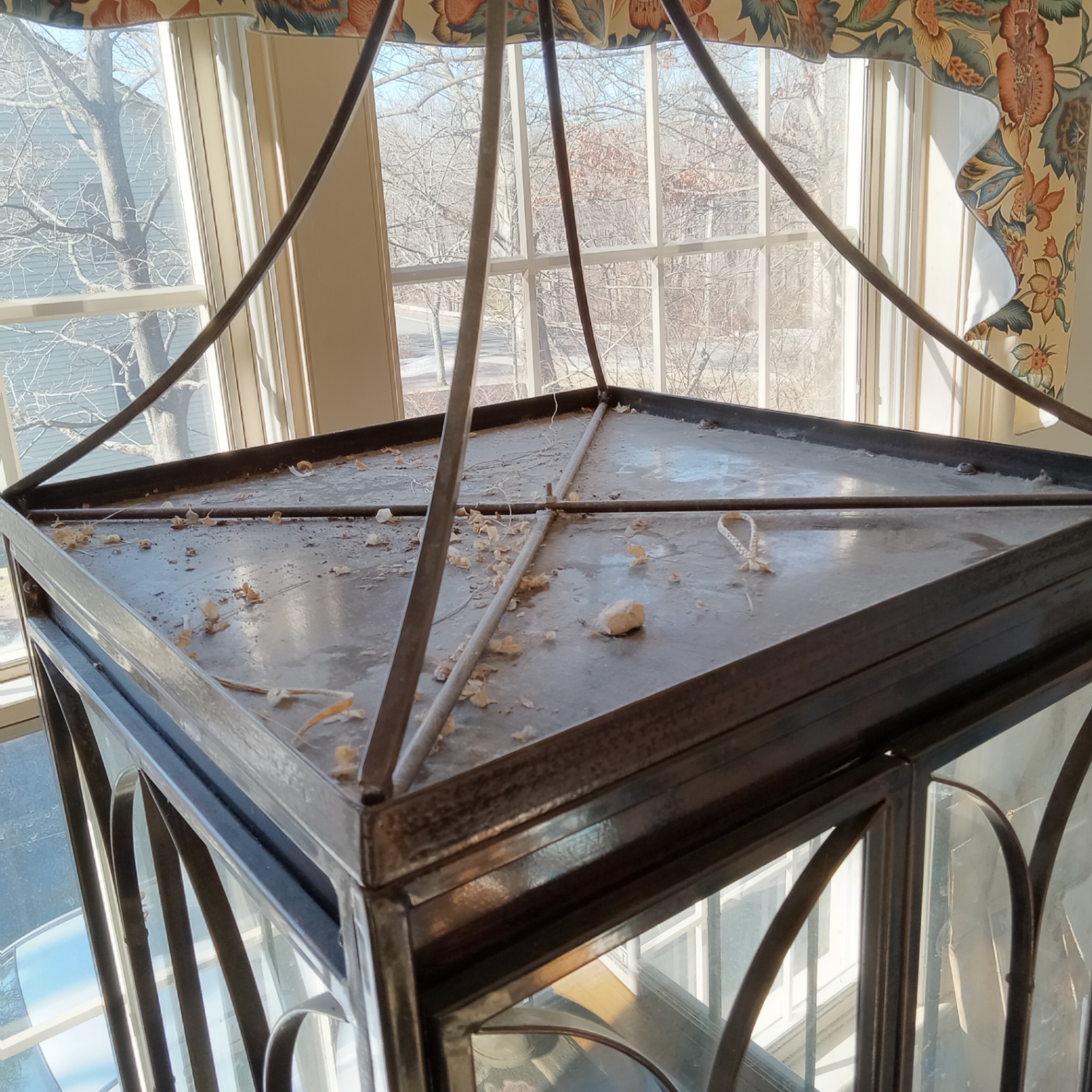 Metal & Glass Plant Etagere / Terrarium - image 7 of 7