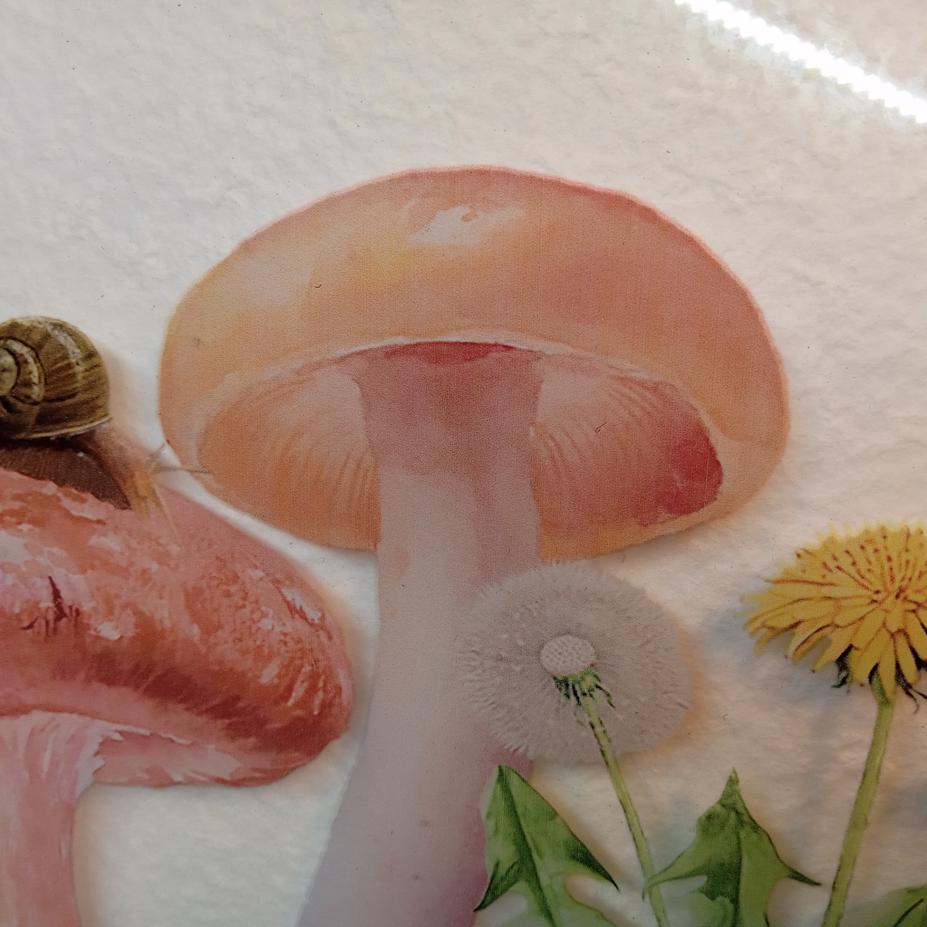 Mushroom Art - image 2 of 6