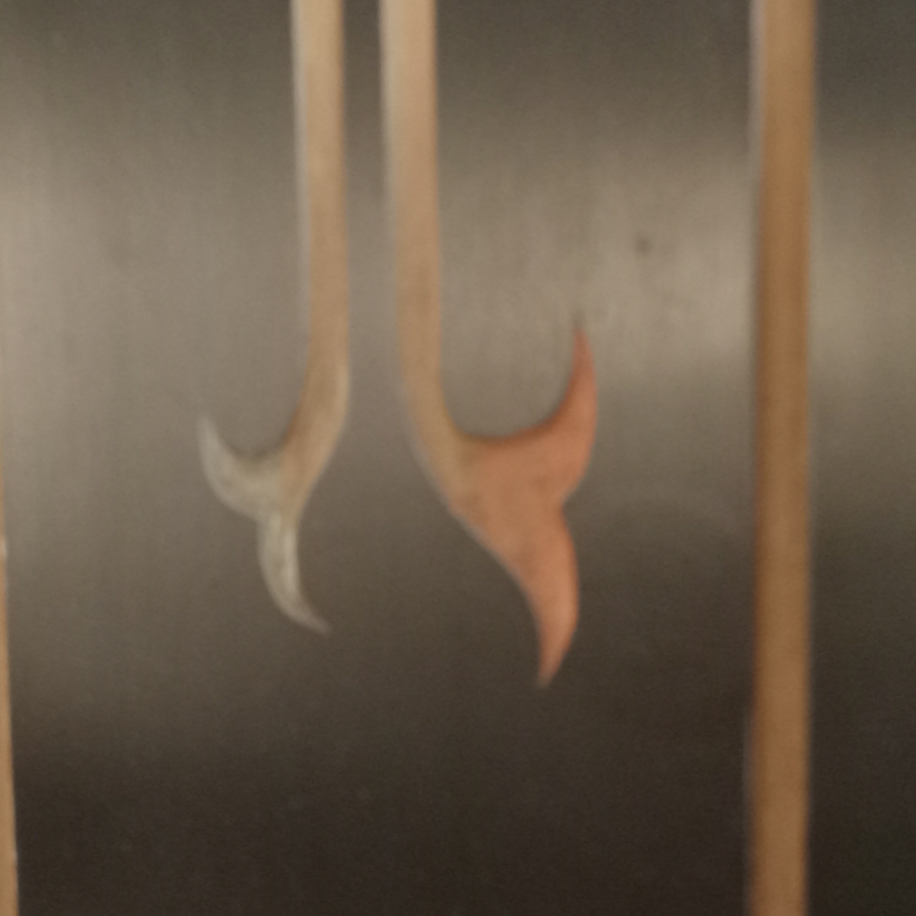 Asian Wood Screen - image 9 of 15