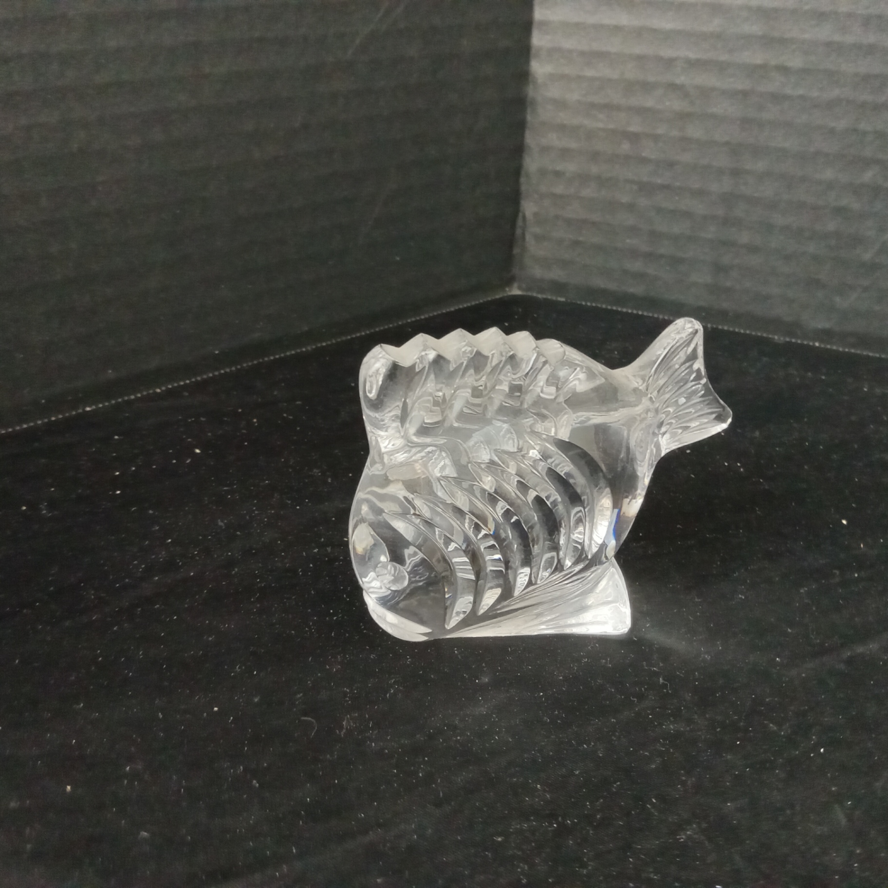Crystal Fish Decor - image 4 of 11